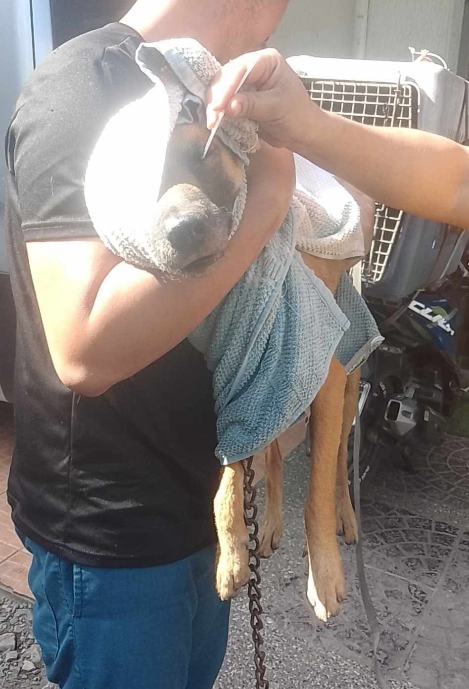 Larawan mula sa Loved by Gapz - Animal Rescue Inc.