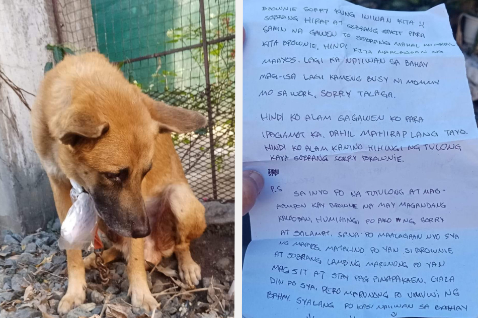 Larawan mula sa Loved by Gapz - Animal Rescue Inc. 