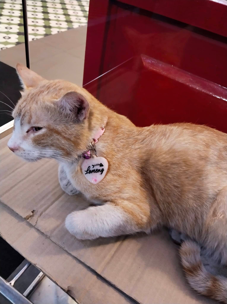 Ofan wearing a name tag with 