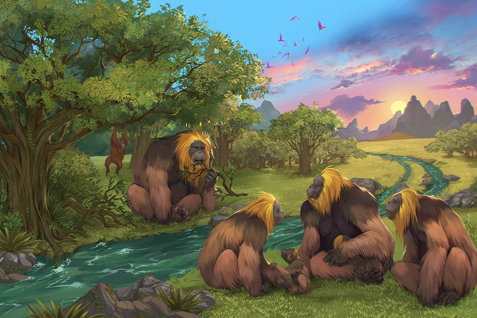 This handout artist impression released by Southern Cross University on January 9, 2024, shows a group of the giant ape Gigantopithecus blacki within a forest scene in Southern China. Thought to be the largest primate to ever exist on Earth, the three meter tall giant apes, Gigantopithecus blacki, a very distant human ancestor that once roamed the karts plains of southern China, went extinct before humans arrived in the region with few clues to why. Photo by Garcia/Joannes-Boyau/Southern Cross University via AFP.