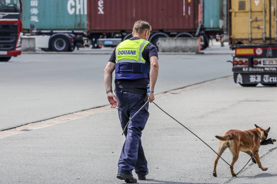 A customs official and drug detection dog Emma search for cocaine in a shipping container as part of a presentation of seizures of cocaine for the first semester in the Port of Antwerp, in Antwerp, Belgium, July 12, 2023. Olivier Matthys, EPA-EFE