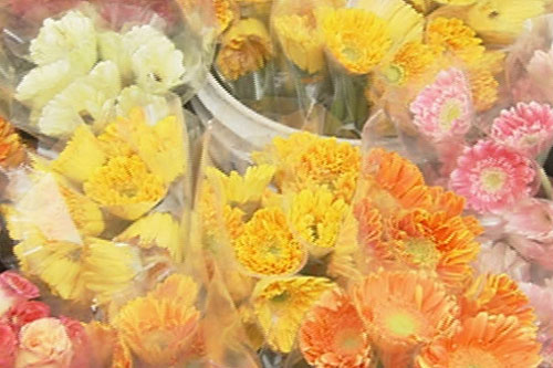 are-flower-shops-in-metro-manila-paying-the-right-taxes-abs-cbn-news