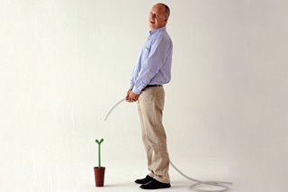 ANCX - Articles About alessi 2