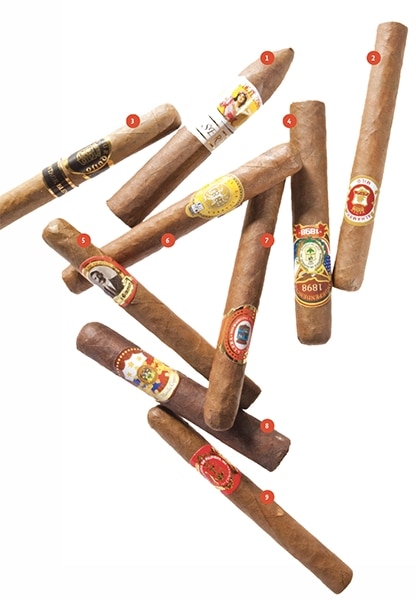 Nine homegrown cigars from light to full-bodied 3