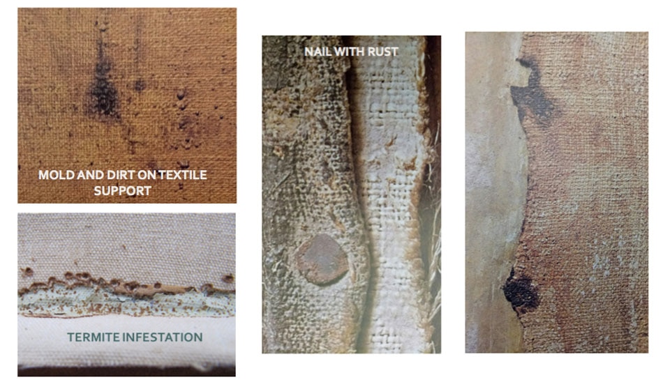 How to protect artworks from fungal or insect attacks, and other tips for your art at home 4