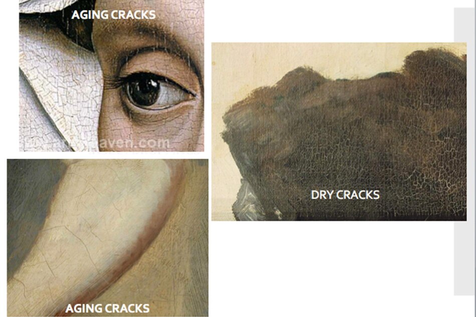 How to protect artworks from fungal or insect attacks, and other tips for your art at home 2