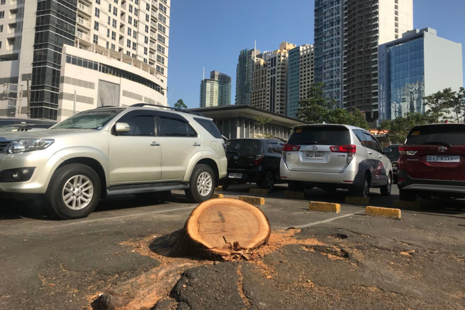 QnA VBage Bye Legazpi market, bye trees, hello parking space - ABS-CBN News