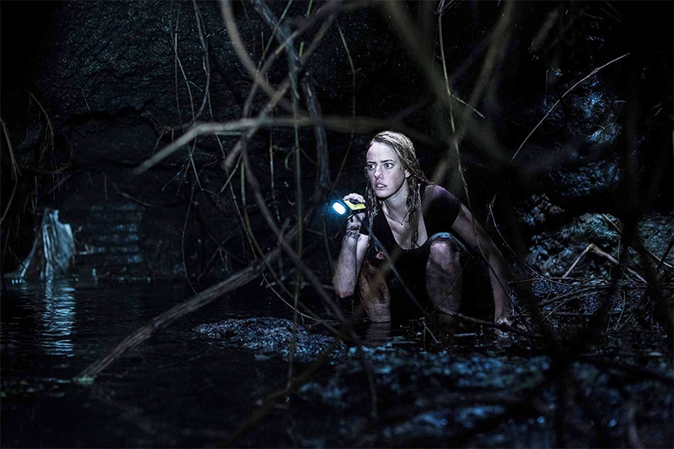 Review: ‘Crawl’ is basically ‘Jaws’ inside a waterlogged house 2