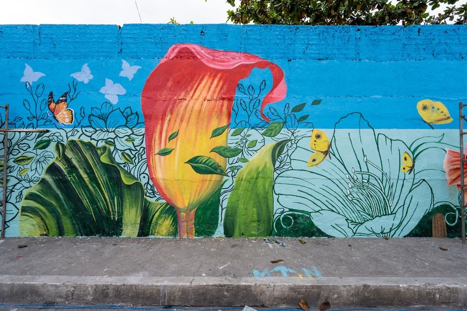 LOOK! More than 200 artists painted the North Cemetery wall with flowers for the dead 13