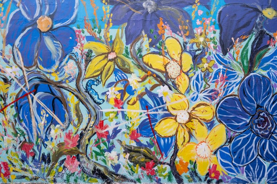 LOOK! More than 200 artists painted the North Cemetery wall with flowers for the dead 16