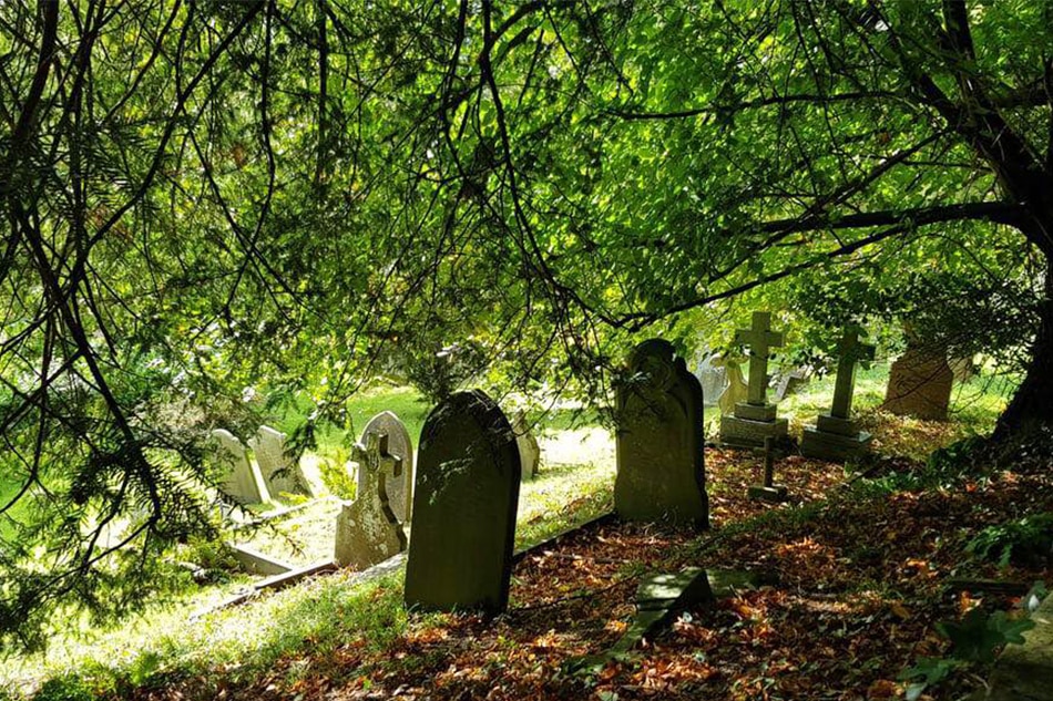 Fiction: Looking for eternal life in a graveyard in the middle of the night 2