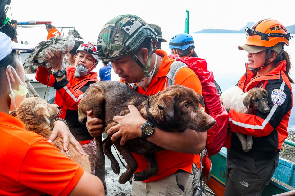 Alamin Pag Iingat Sa Mga Alagang Hayop Kontra Sakuna Abs Cbn News 2290