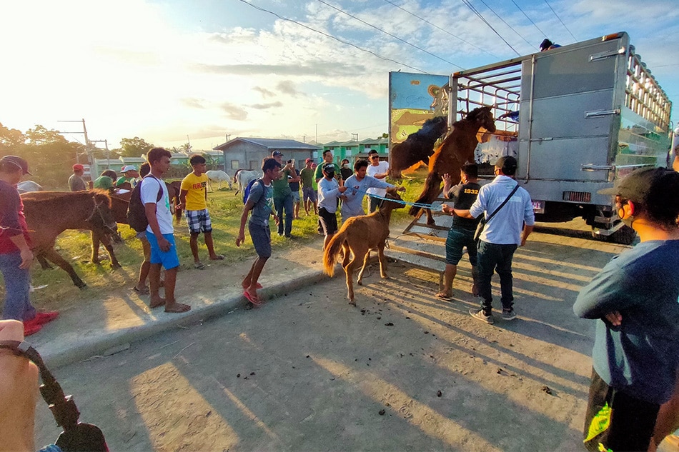 All in this together: How Tagaytay residents and restos are helping out the Taal neighborhood 7
