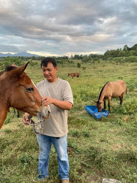 How a team of equestrians helped rescue Taal’s horses forced to stay behind 4