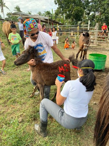 How a team of equestrians helped rescue Taal’s horses forced to stay behind 5