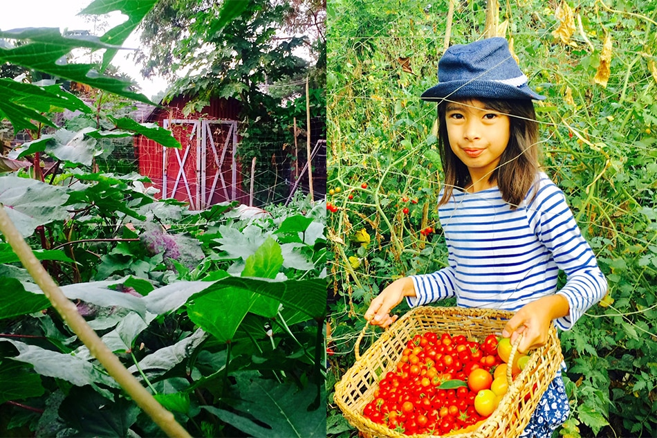 How To Start An Urban Garden Even With, Urban Gardening Ideas Philippines