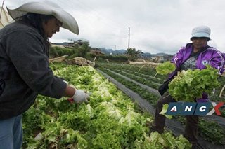 This Viber-based group connects Benguet farmers in need to Metro Manila buyers