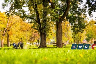 Our COVID expert on the amount of risks we face going back to our workplace, gyms, parks