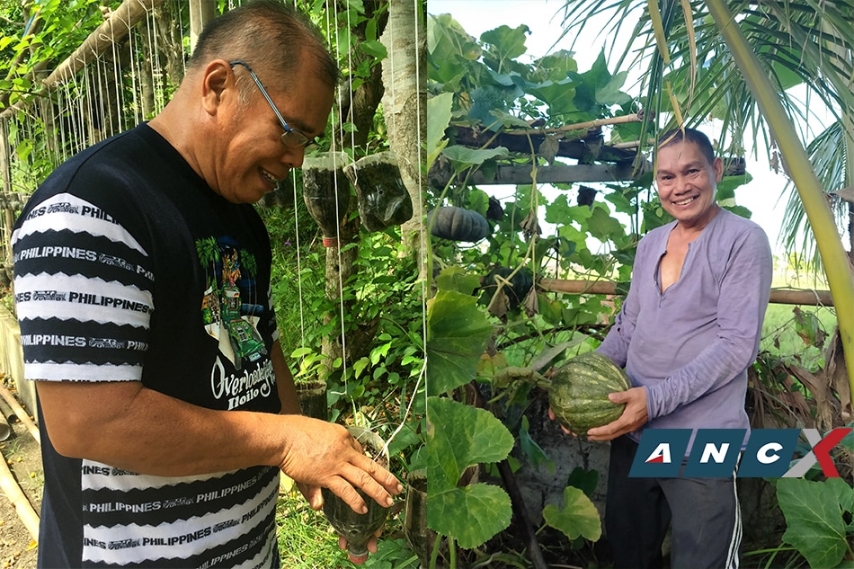 This NGO gave 130 million seeds to poor Visayan, Mindanaoan families for growing their own food 2
