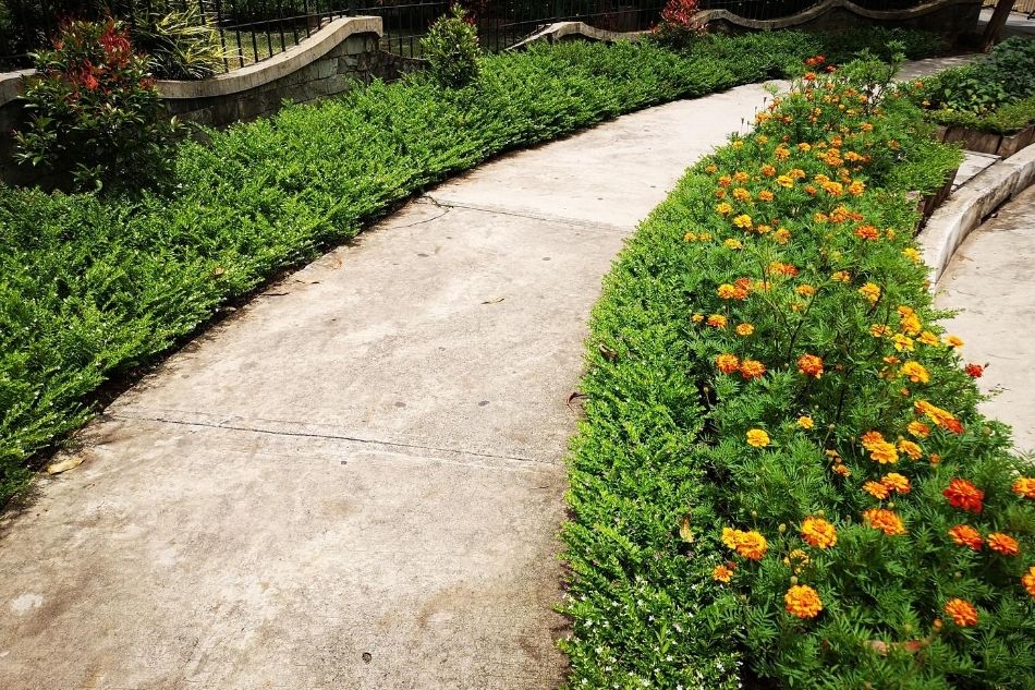 29 PHOTOS: Missing Baguio? Here’s a look at what Burnham Park looks like today 10