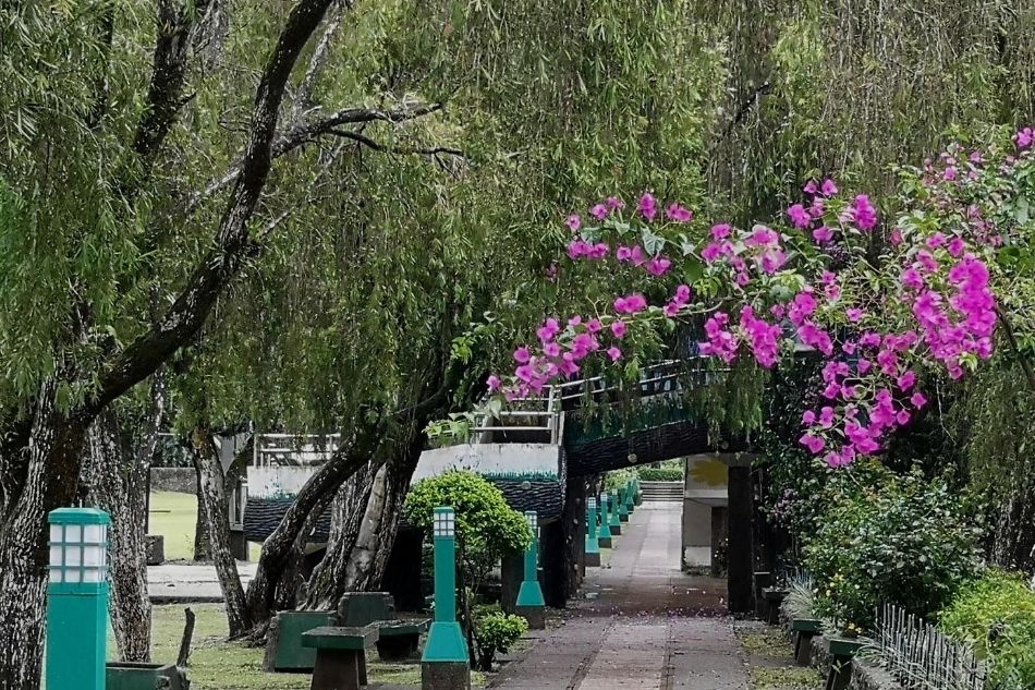 29 PHOTOS: Missing Baguio? Here’s a look at what Burnham Park looks like today 17