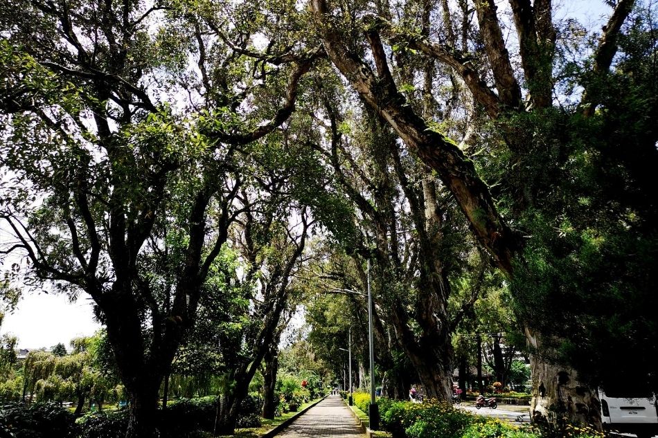 29 PHOTOS: Missing Baguio? Here’s a look at what Burnham Park looks like today 29