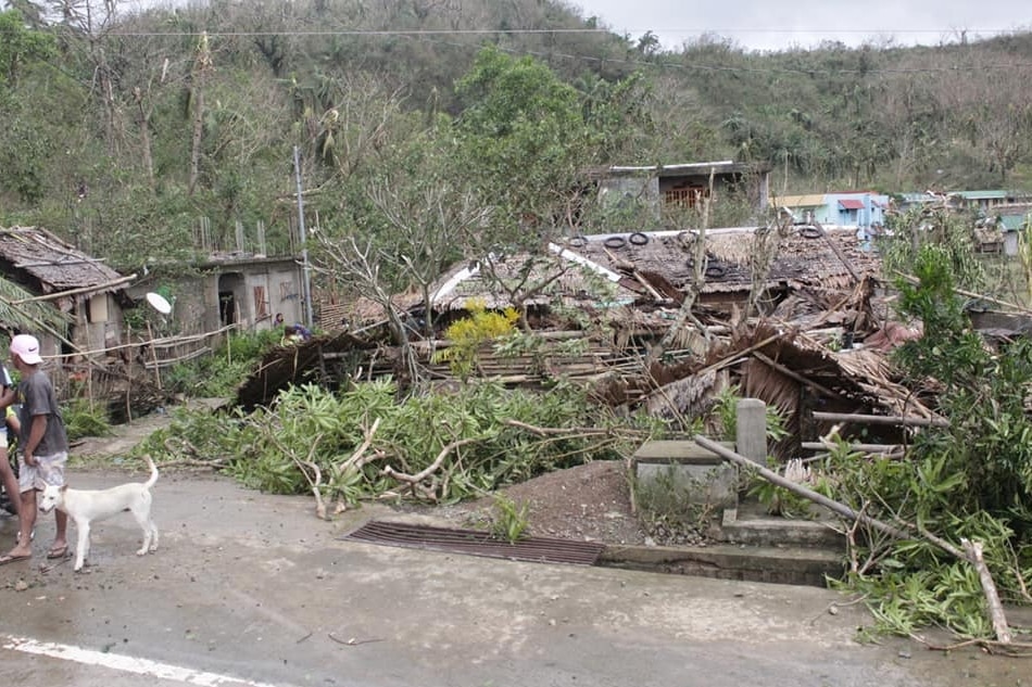 People of Catanduanes share how they stand up from the wreckage after every storm 4