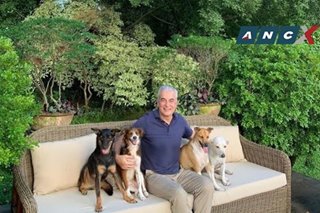 This photo of Fernando Zobel with his aspins should inspire people to adopt rescue dogs