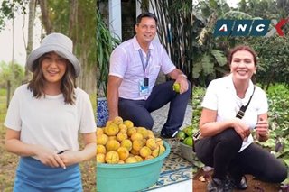 The best celebrity farms in the PH and what they’re doing right, according to an expert