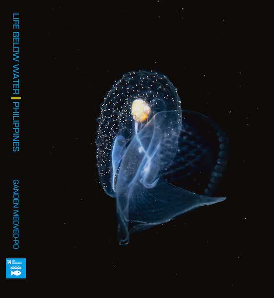 Ganden Medved-Po's ocean photography book 