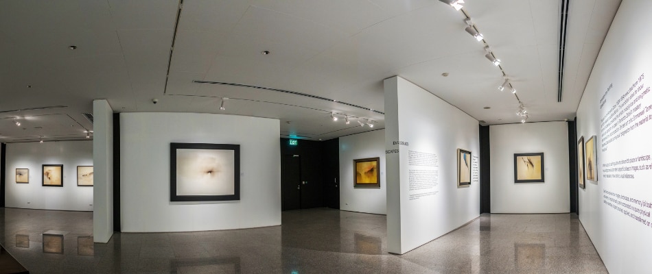 Fernando Zobel Gallery 