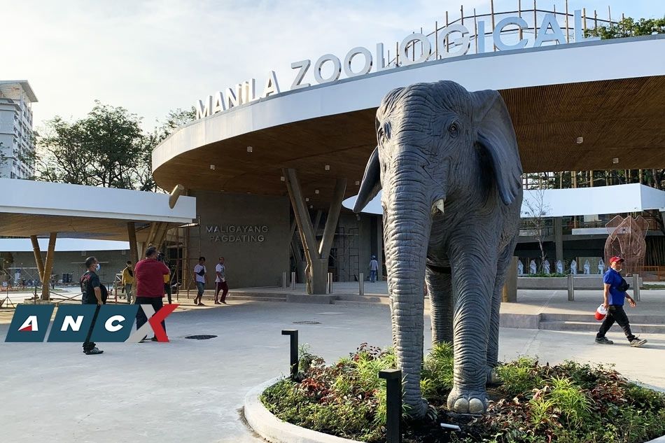 Manila Zoo: From dirty and dated to scrubbed and modern 2