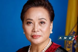 The making of Rowena Guanzon, Comelec Commissioner