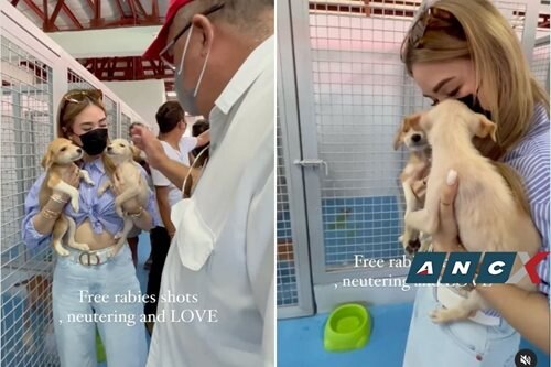 Aspin fan Heart Evangelista rejoices over new pet shelter 