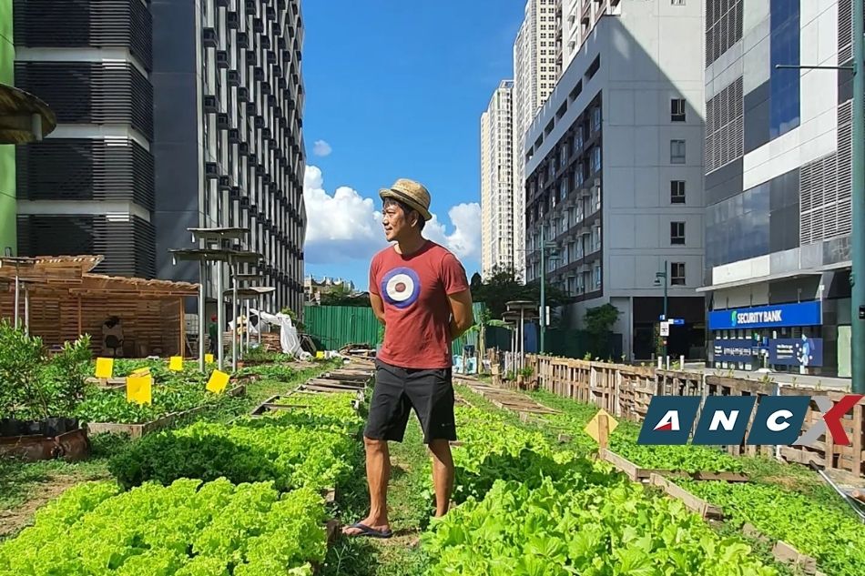 Did you know there’s a 1500-sqm vegetable farm in BGC? 2