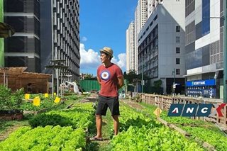 Did you know there’s a 1500-sqm vegetable farm in BGC?