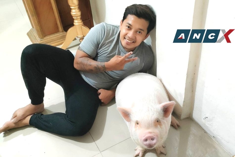 Why this video of a potbellied pet pig is going viral 2