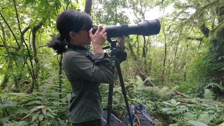 This Pinay celebrates Philippine native trees on TikTok | ABS-CBN News