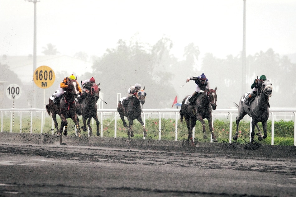 Horse racing Presidential Gold Cup a wideopen race Filipino News