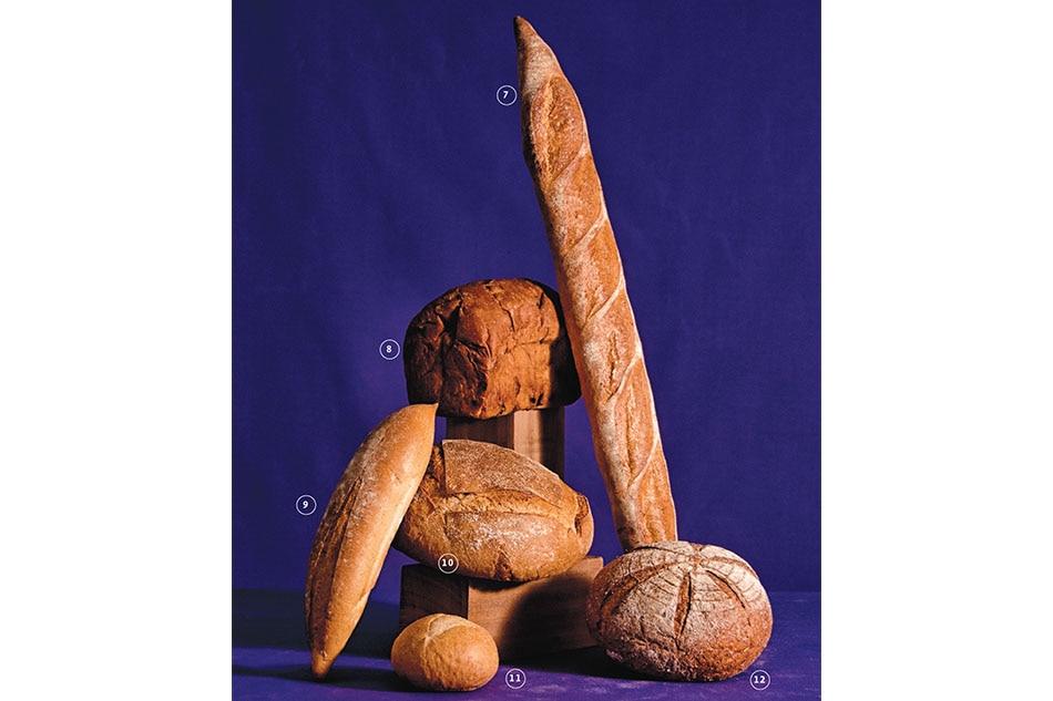 An illustrated guide to 12 traditional bread varieties of France 4