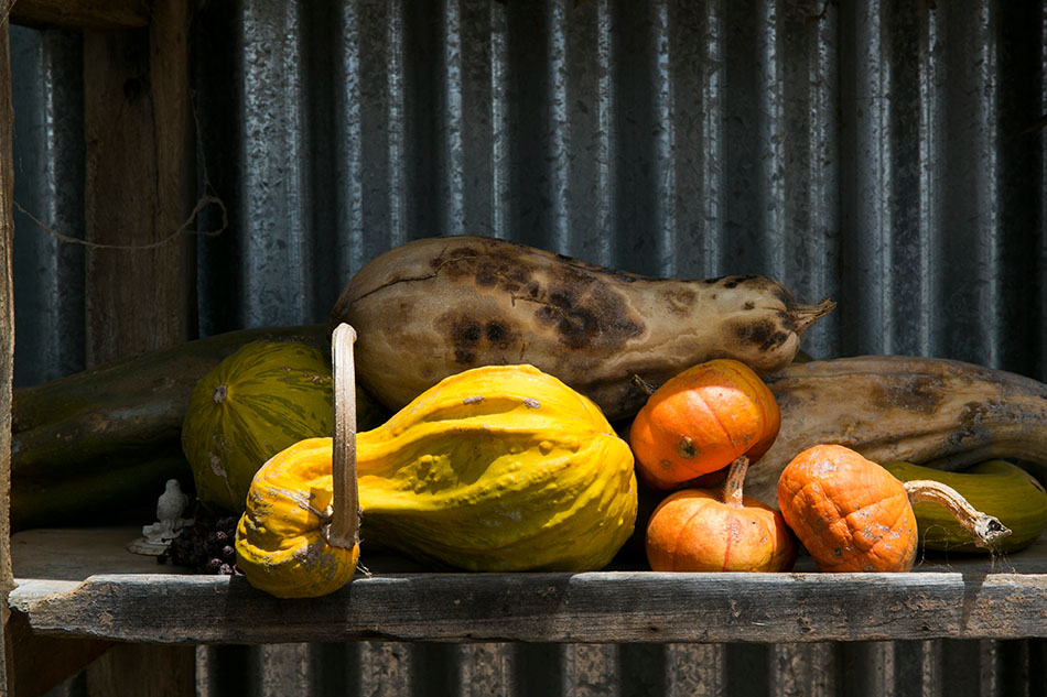 How these 4 New South Wales restos embrace sustainable dining with panache 38