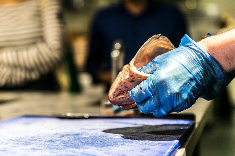 How these 4 New South Wales restos embrace sustainable dining with panache 7