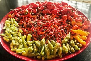 How chili peppers helped researchers uncover how humans feel pain