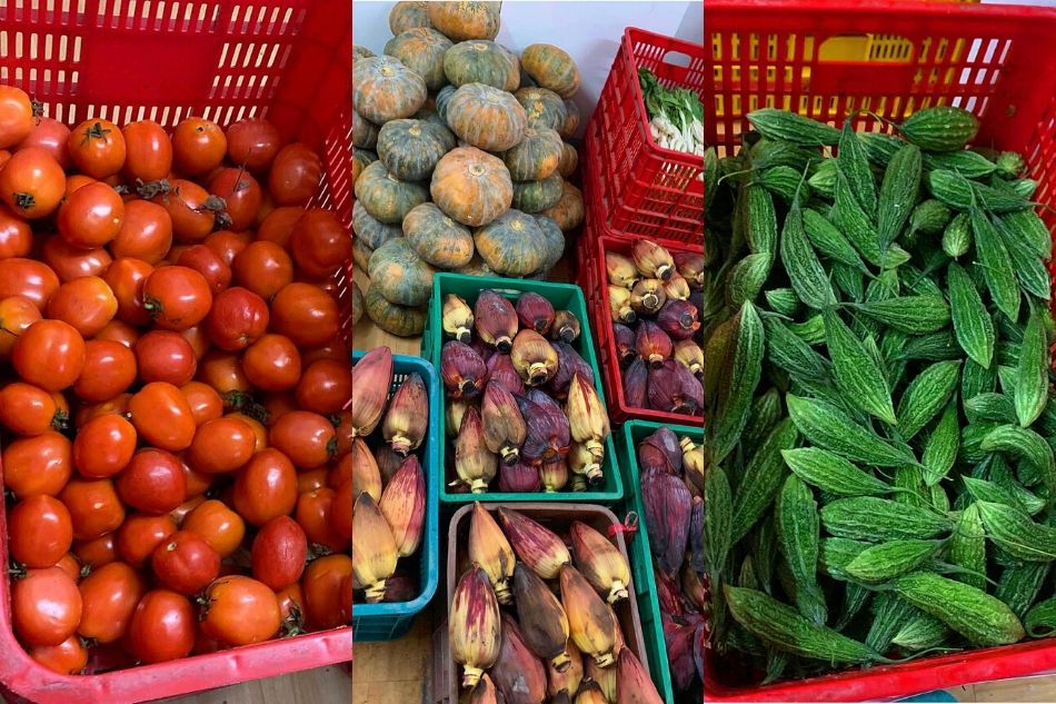 Here’s where to source fresh vegetables, fruits, and poultry direct from local farmers 2