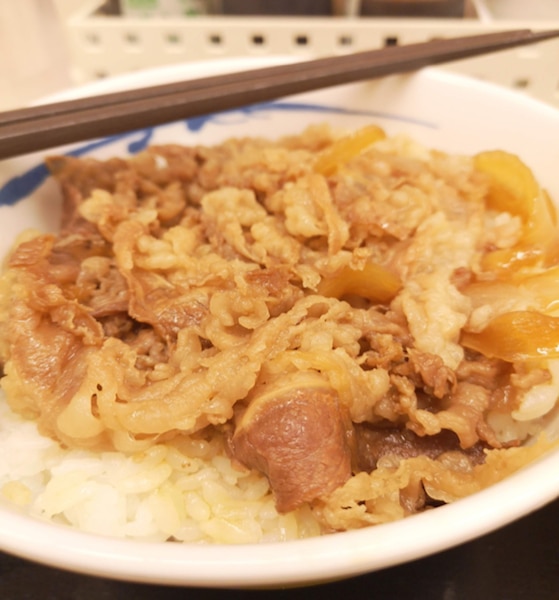 My long distance relationship with the best gyudon on Earth 3