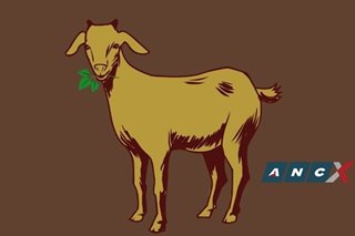 From ‘kayod-kalabaw’ to ‘amoy kambing’: the dirty associations of the stuff we put in our mouths