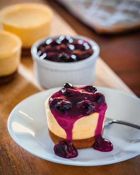 Vizco's Blueberry Cheesecake Solo