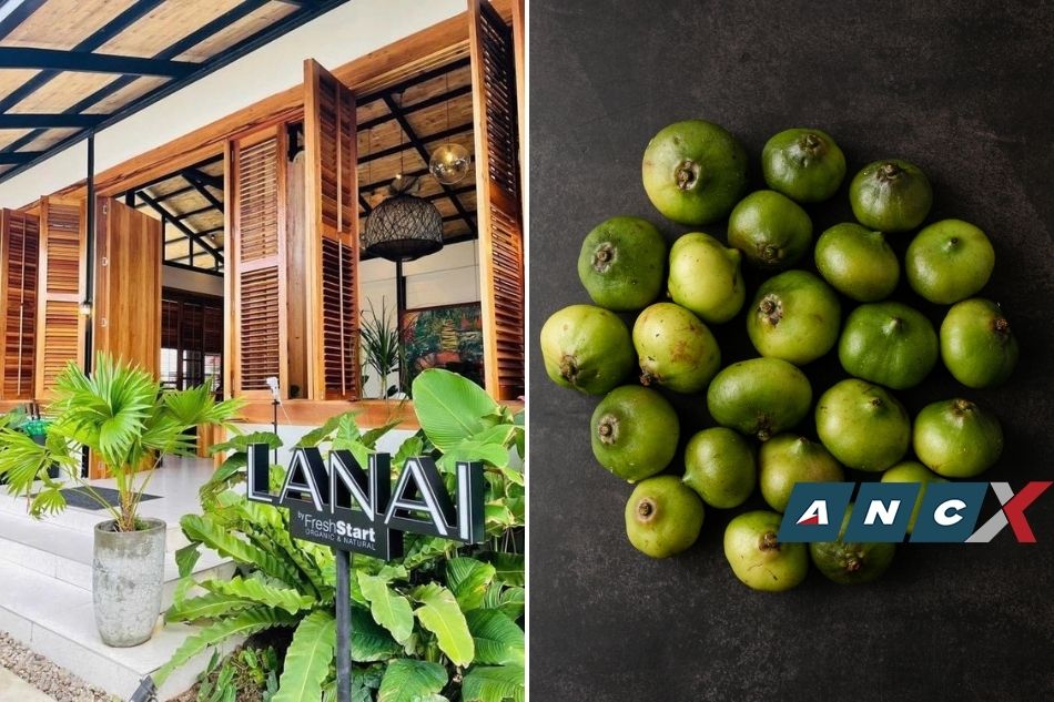 Bacolod farm-to-table resto will only feed you good stuff 2