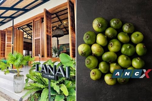 Bacolod farm-to-table resto will only feed you good stuff 