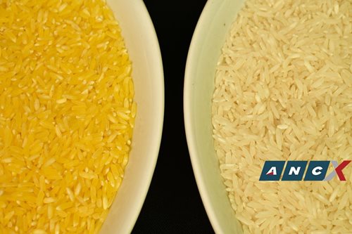 What’s Malusog Rice and why Pinoys should care about it
